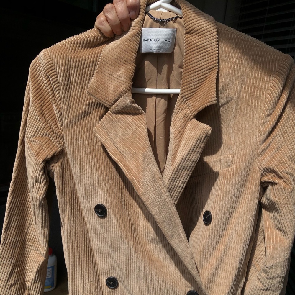 1-01 Babaton Dahl Coat